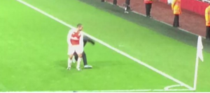 Walcott hace la 'bump celebration' con un aficionado