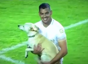 'perro espontáneo' invade el partido entre Táchira y Pumas