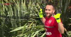 David Ospina se vistió de delantero al convertir este tremendo golazo a petr cech en entrenamiento al arsenal. así lo celebra el arquero de la seleccion colombia