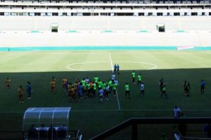 pelea cali pereira