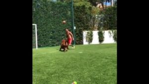 Messi vuelve loco a su perro jugando al fútbol. Festival de 'sombreritos'