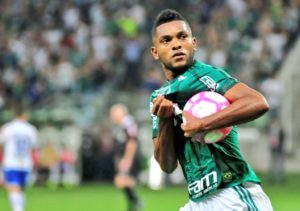 Borja con Palmeiras