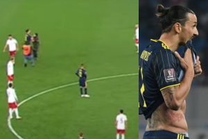 zlatan inbrahimovic empuja hincha tras derrota de georgia