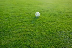 balon de futbol en cesped